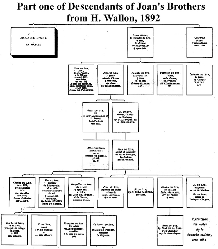 Image Result For The Family Tree