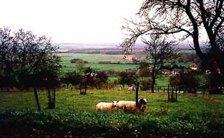 View of
the Meuse River Valley